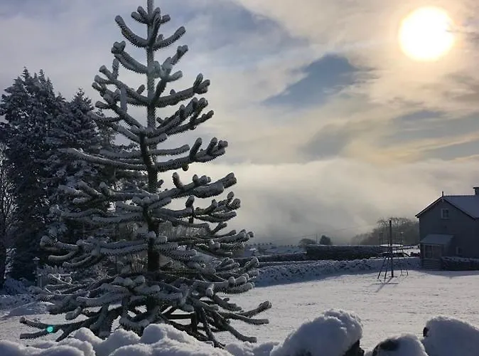 Sandyviews דירה Grange-over-Sands